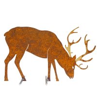 Edelrost Hirsch fressend